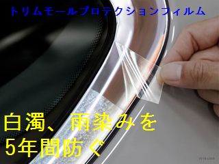 トリムモールプロテクションフィルム